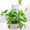 Vine Pillar Multifunctional Planting Rack Stand Frame Flower Climbing Holder Indoor Trellis