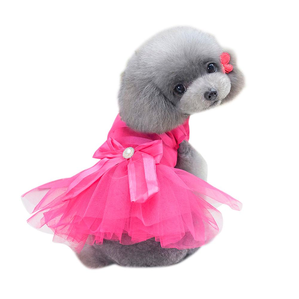 Small Dog Dress Fashion Pet Dog Bubble Dress Dog Cute Summer Skirt