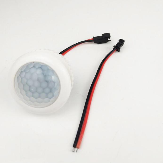 Infrared LED Sensor Switch for Ceiling Lights (110V-220V)