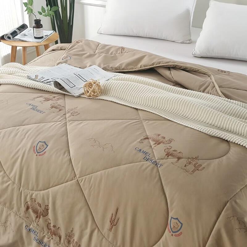 Burenshu Classic Warm Blended Silk Quilt
