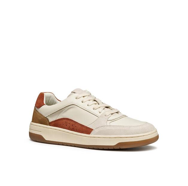 Geox U Sedral Court Sneakers