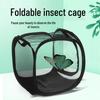 Collapsible Insect Rearing Cage with Mesh for Butterfly, Mantis, and Seedling Observation