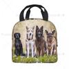 Schäferhund Thermoisolierte Lunchtasche Damen Tiermuster Wiederverwendbare Lunch-Tragetasche für Outdoor-Picknick Aufbewahrung Lebensmittelbox