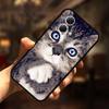 For Moto G84 G54 5G Case Fashion Soft TPU Silicone Bumper Phone Cover for Motorola Moto G84 5G MotoG54 G 54 84 Coque Capa Cats