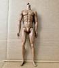 29cm Costume Drama Men Doll Multi-Joints Movable Doll 35cm Muscle Male Doll Collections Doll Toy Parts