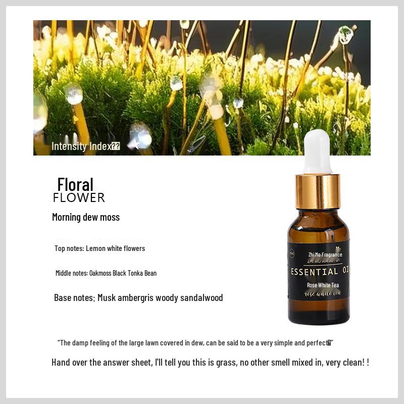 15ml Aromatherapy Essential Oil Diffuser - Portable, Flameless Air Freshener for Home and Hotel.