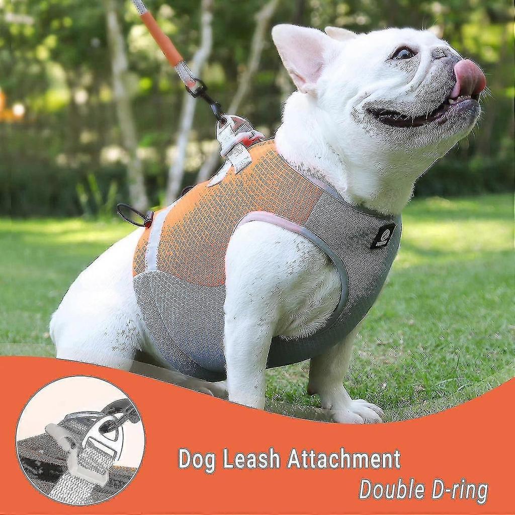 Dog Cooling Vest Harness,outdoor Puppy Cooler Jacket Reflective Breathable Dog Vest For Small Medium Large Dogs