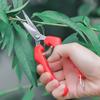 Garden Hand Pruning Shears Stainless Steel Fruit Picking Small Scissors Potted Branches Scissors for Flowers Harvesting Fruits