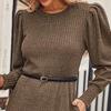 Women's Fall Crew Neck Sweater Dress Long Lantern Sleeve Short Dress Casual Knit Pullover