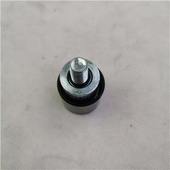 Foton Idler Pulley PV10001862