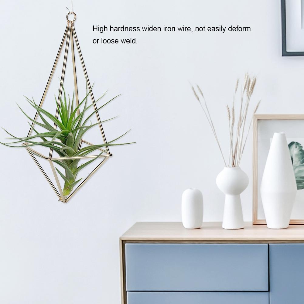 Plant Holder Quadrilateral  ing Tillandsia Rack for Room Decor(Black)