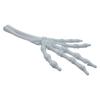 2 Stück 7 Farben Simulierte Skelett-Handfläche PLA Halloween Schädelhand Tischdekoration