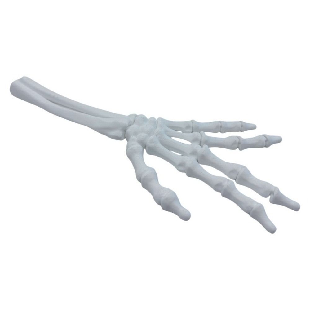 2 Stück 7 Farben Simulierte Skelett-Handfläche PLA Halloween Schädelhand Tischdekoration
