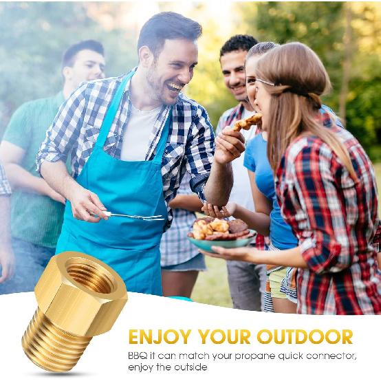 Frienda 1/4 Inch Male NPT X 1/4 Inch Female Inverted Flare Propane Fitting NPT Reducer Brass Female Pipe Adapter Brass Bushing Reducer Threaded Pipe