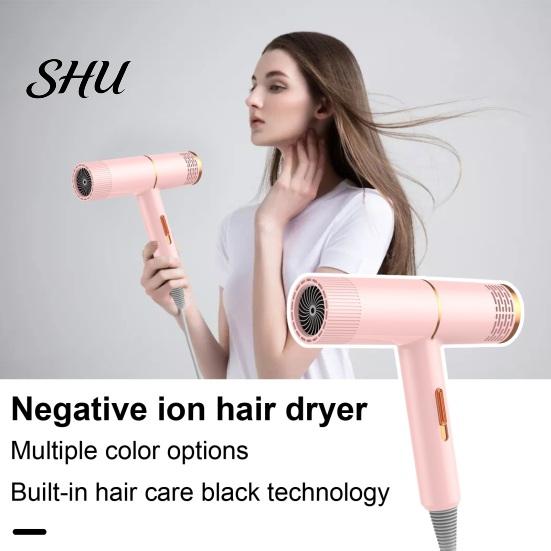 Hair Dryer with Salon-level Ion Technology Household 800W High-Power Blue Light Negative Care Blow Collagen-infused With Protection Women Men for Mute