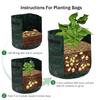3-10 Gallon Potato Grow Bags with Flap Window Garden Planting Bag with Handles Thickened PE Pots for Tomato Vegetable Fruits