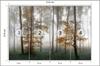 Photomural Forest In Fog Self-Adhesive Mural 416x254