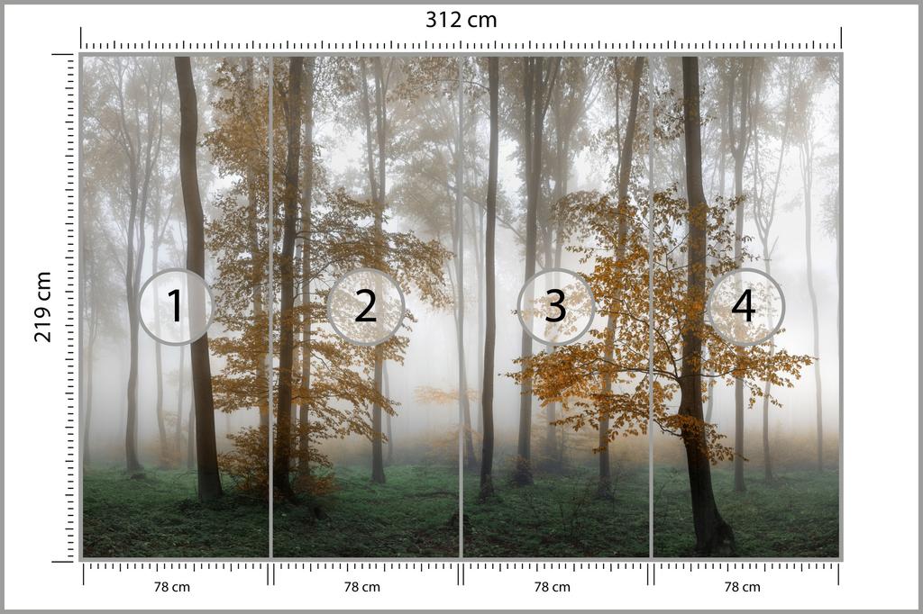 Photomural Forest In Fog Self-Adhesive Mural 416x254
