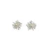 Silver fireworks earrings women's niche light luxury new popular high-end earrings temperament silver needle earrings