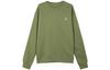 Sweatshirts Men's Green Crew Neck Moderate Regular FJ7777-340