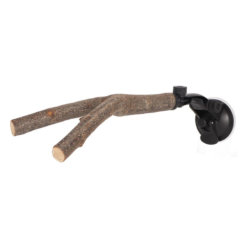 Bird Branch Perch Stand Training Interactive Prevent Slip Wooden   Perch with Suction Cups for Small Medium Bird