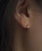 Faye 14K Sona Earrings