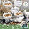 5pcs Automatic Hanging Bird Feeder Drinker Wall-mounted Pigeon Feed Trough  Aviary