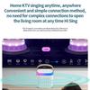 Y1 Wireless Dual Microphones Karaoke Machine KTV DSP System Bluetooth 5.3 PA Speaker HIFI Stereo Surround RGB Colorful LED Lights