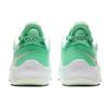 Nike Pg 5 Ep 'Play For The Future'  CW3146-300
