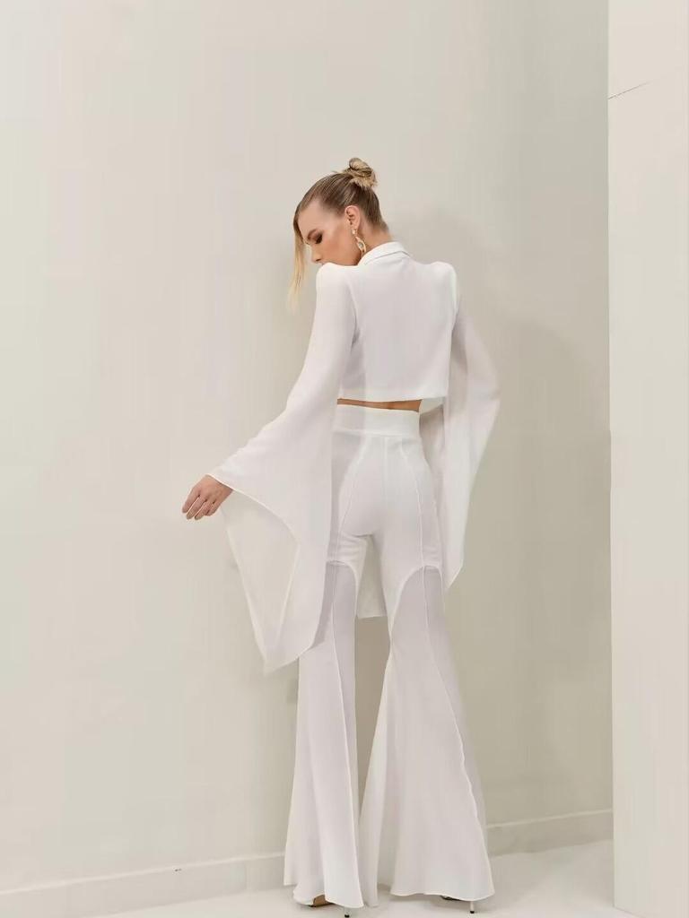 Women's Sheer Wide-Leg Blazer Set