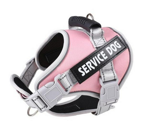 Reflektierende Atmungsaktive Hundeleine & Geschirr - Explosionsgeschütztes Design