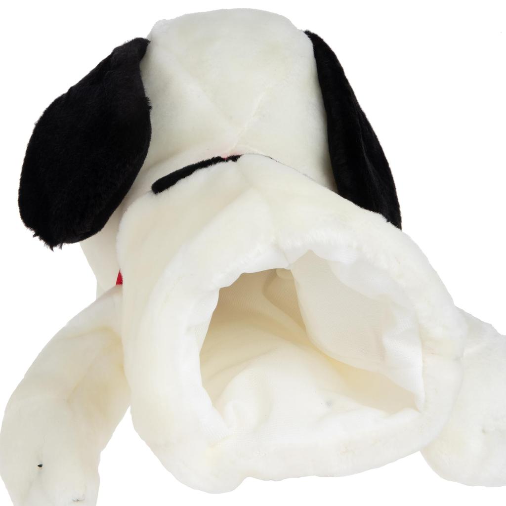 LITE News Noopy DR H-150