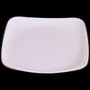 Gu Rou 8.6-inch A5 Melamine Square Serving Plate
