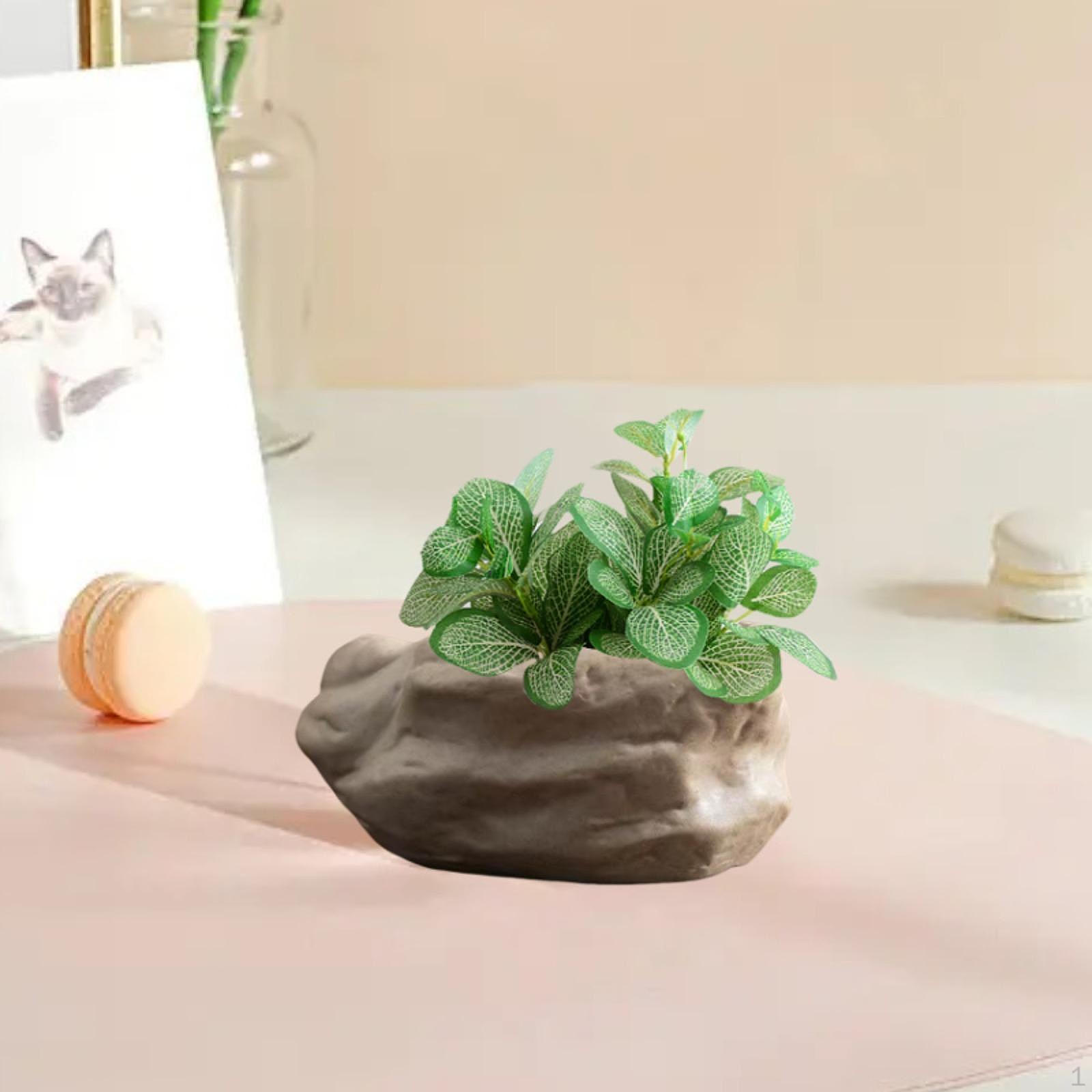 

Bonsai Planter with Drainage for Indoor Use Style A