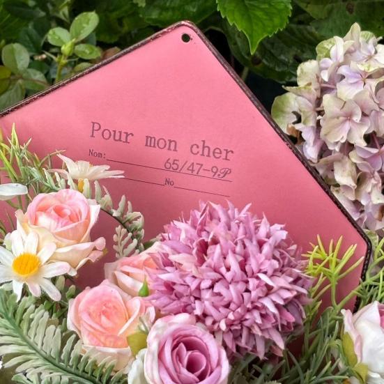 Wall Mounted Planter Envelope Shape Wall Planter Box Retro Iron Planter with Drainage Hole for Indoor Outdoor Garden Balcony