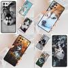 Animal Dog Husky Cell Phone Case for Samsung Galaxy S26 Ultra S25 S24 S23 S22 S21 S20 Note10 Cover