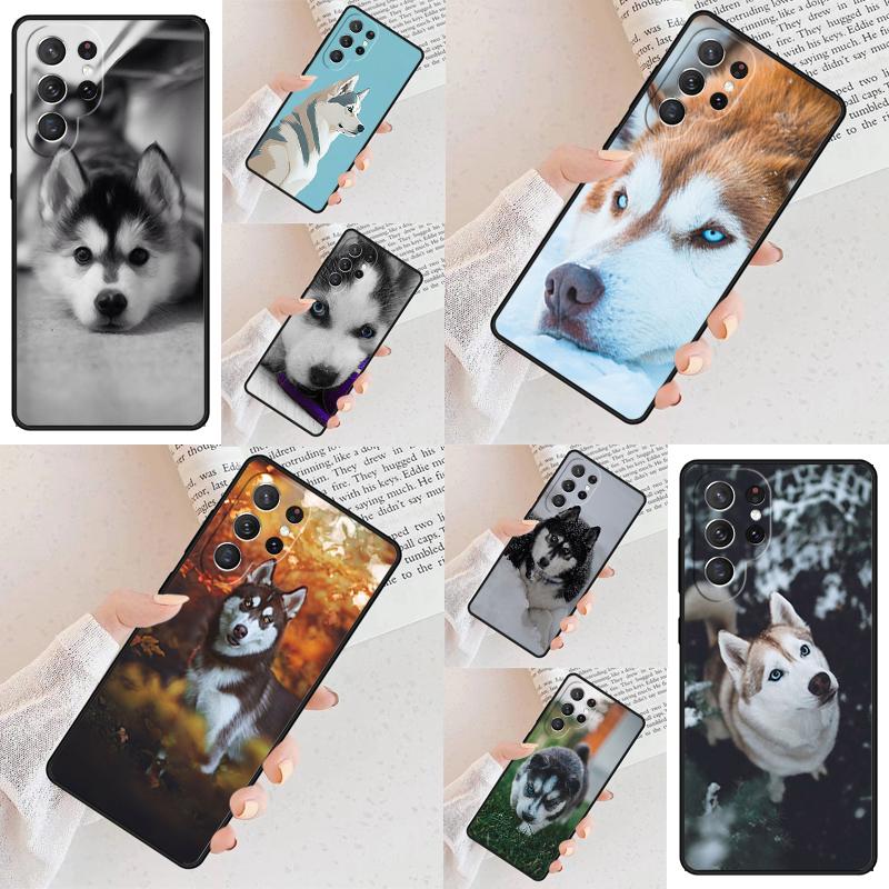 Animal Dog Husky Cell Phone Case for Samsung Galaxy S26 Ultra S25 S24 S23 S22 S21 S20 Note10 Cover