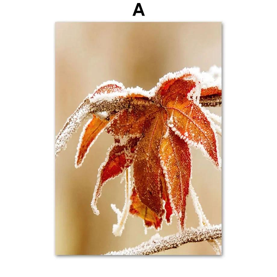 

Современный скандинавский стиль, осенний пейзаж, животный пейзаж, печать на холсте, картина, постер, художественная картина, Декор в гостиную 21x30cm No Framed