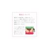 Calligraphy Set: Fortune Ribbon Standard Thick Brush Set with Ruled Underlay