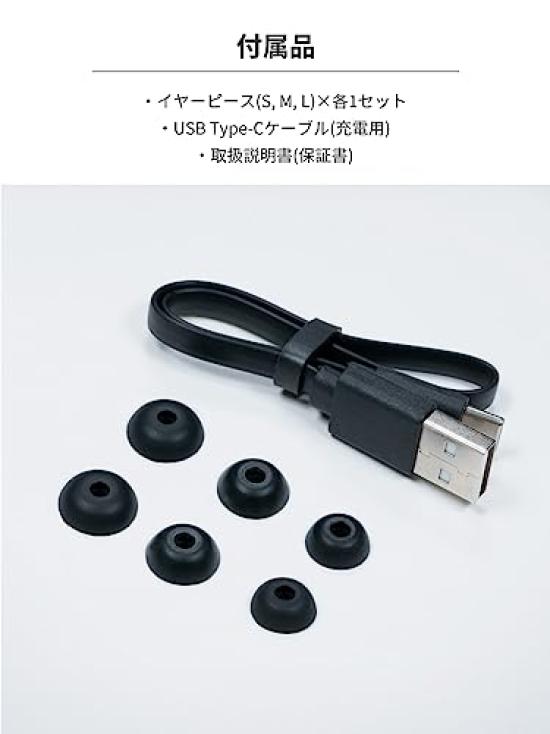 Radius HP-T250BTK Noise-Canceling True Wireless Earbuds: Bluetooth Compatible, Full Wireless, ANC, Ambient Sound Capture, Separate Left and Right