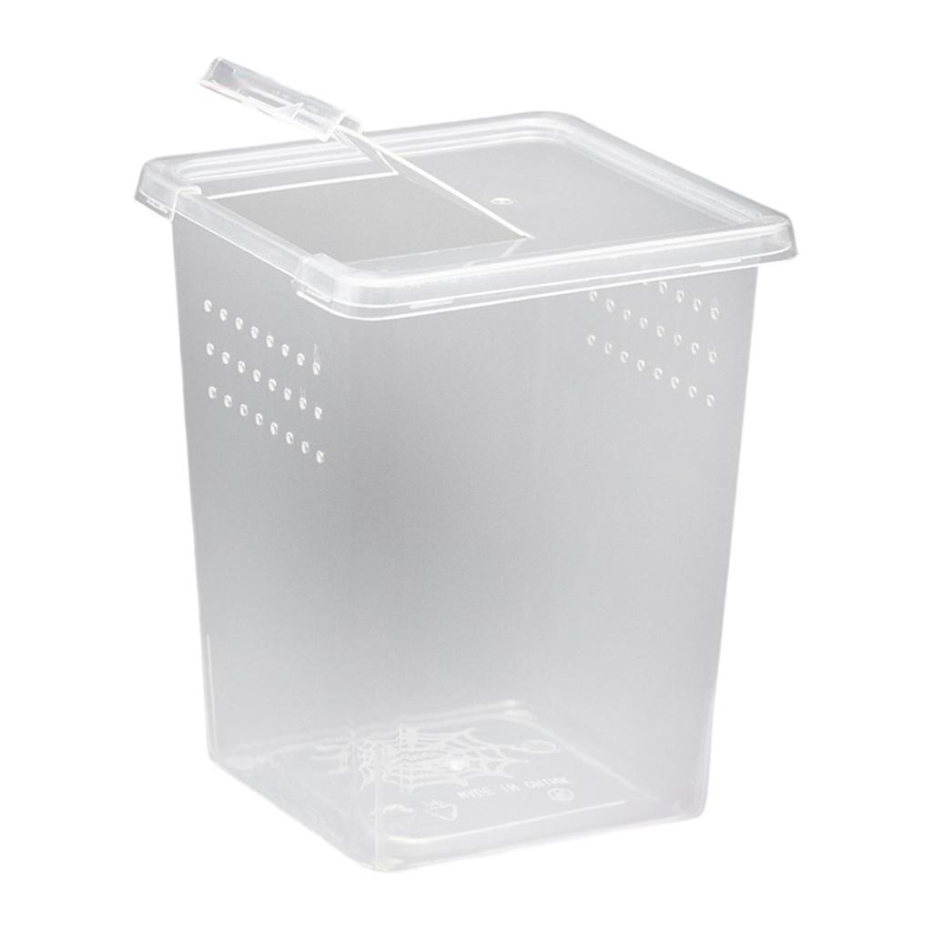 Reptile Feeding Box Turtle Transport Container Mini for Frog Scorpion Gecko