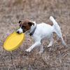 Frisbee Suave TPR Resistente a Mordiscos Meianju - Juguete Flotante Interactivo para Mascotas