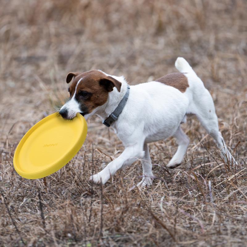Frisbee Suave TPR Resistente a Mordiscos Meianju - Juguete Flotante Interactivo para Mascotas