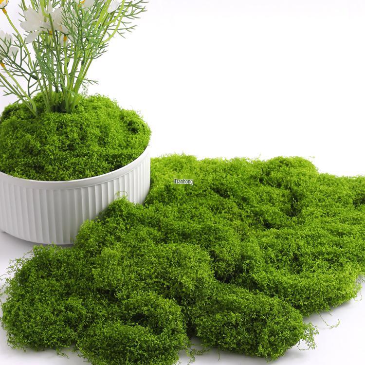 Bionic Moss Bonsai Ornament - Landscaping Turf Arrangement for Lawn and Paving Decoration