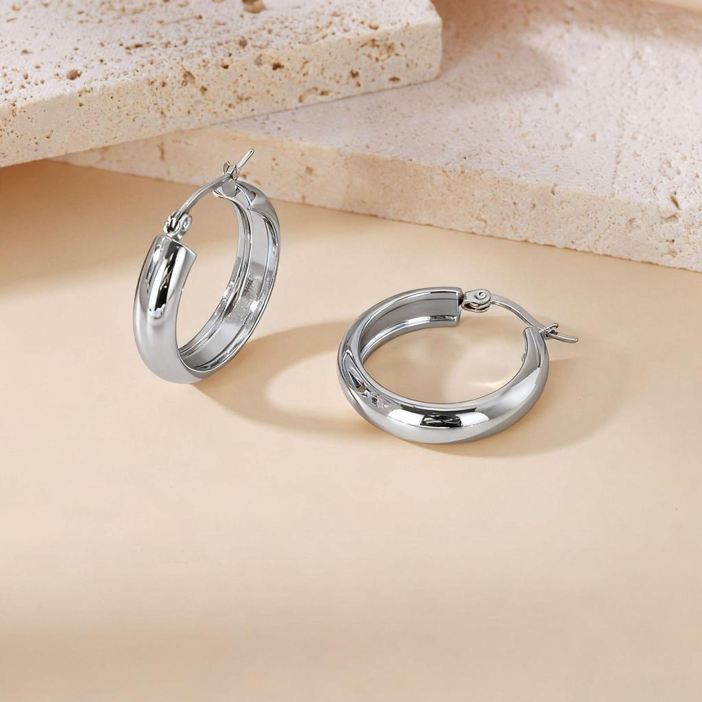 Titanium Steel Light Luxury Colorfast Hoop Earrings with High-End Feel
