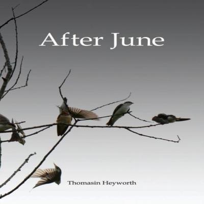 After June by Thomasin Heyworth Hardback Book 9781312284654