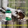 Tree Root Rot Eliminator: Powerful One-Drop Solution for Killing Rot, Weeds, and Bamboo