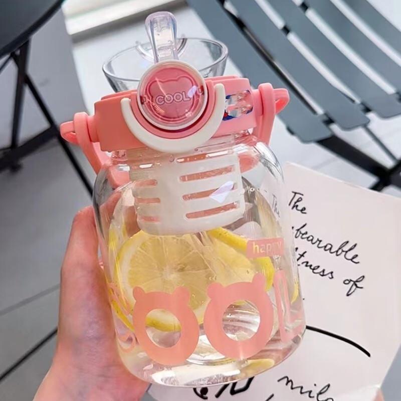 1000ml Portable Glass Tumbler with Straw, Handle & Tea Infuser