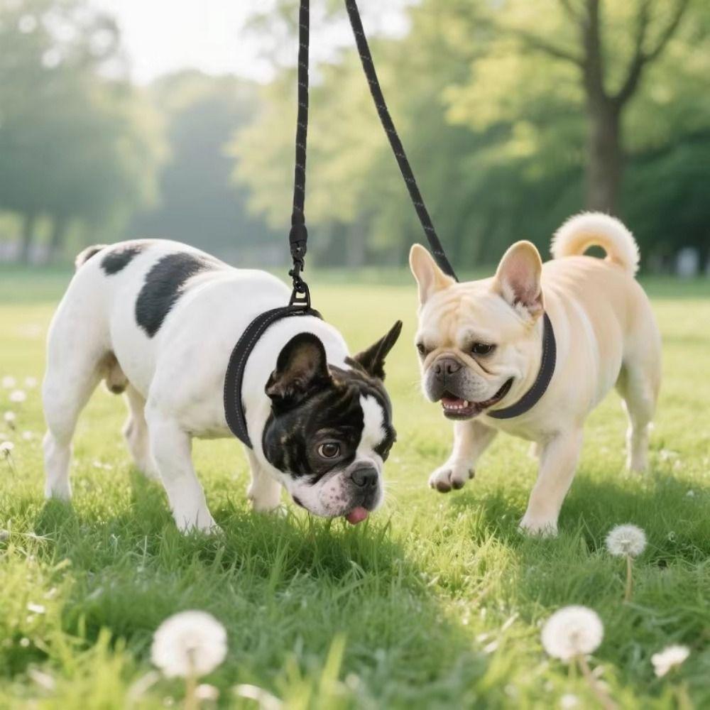 Reflective Dog Leash Coupler Durable Double Lead Pet Leash Twin Lead for Two Dogs for Puppy