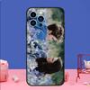 Twilight Saga Hülle Für iPhone 16 15 13 11 14 Pro Max 12 Mini Plus XR X XS Max Silikon Handyhülle